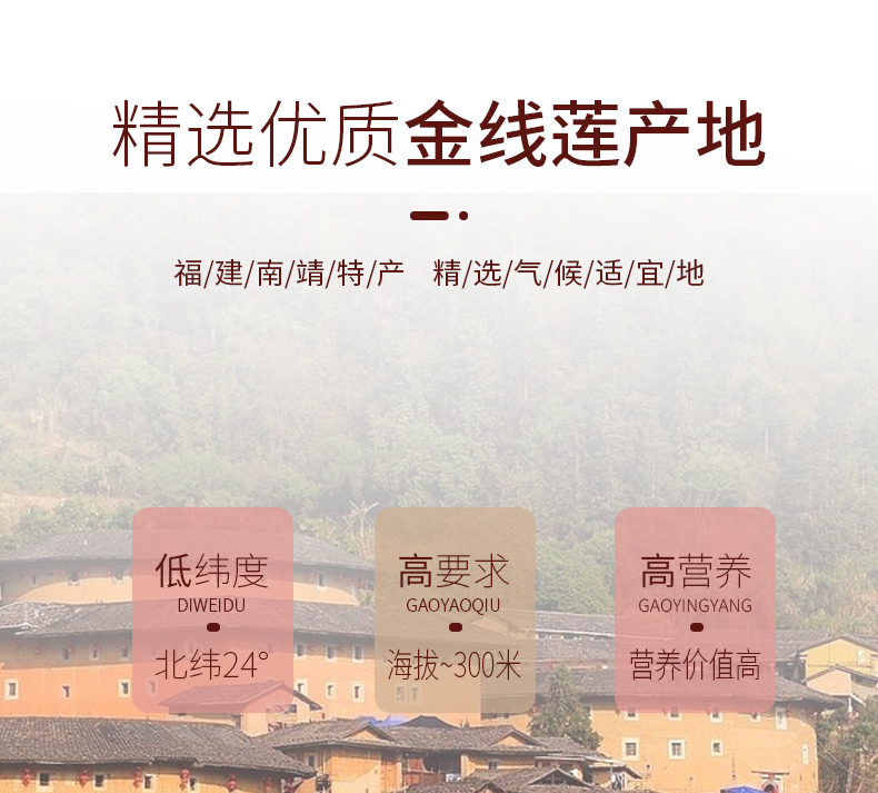 正宗林下<a href=http://m.ffscl.cn/ target='_blank'>金線蓮</a>干品