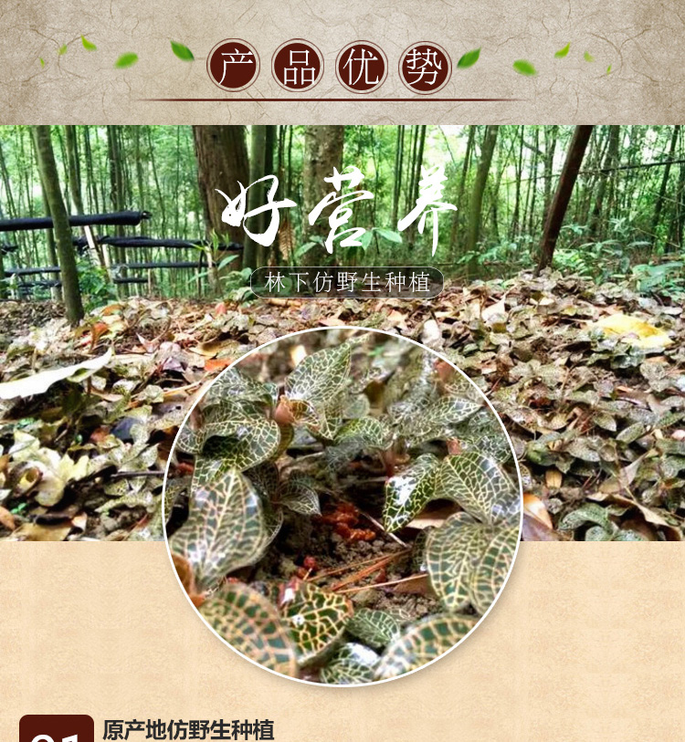 <a href=http://m.ffscl.cn/ target='_blank'>金線蓮</a>干品 20克禮盒裝